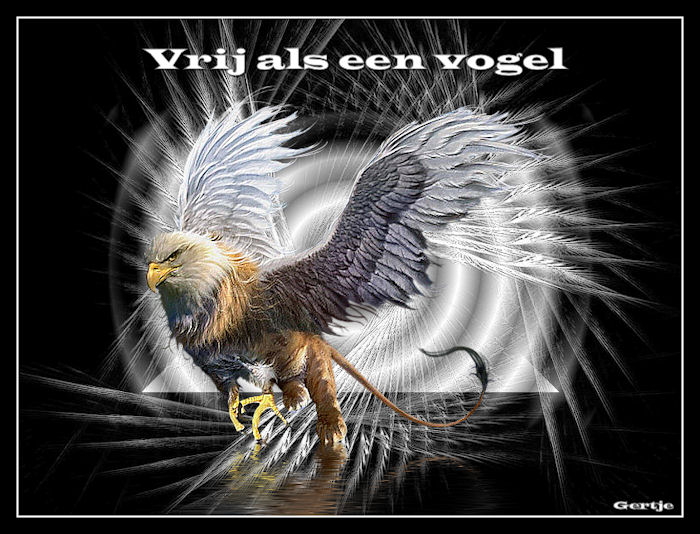 Vrijalseenvogel